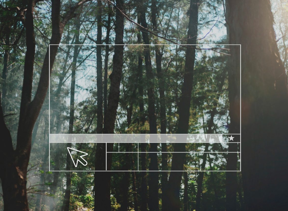 відеоспостереження на природі