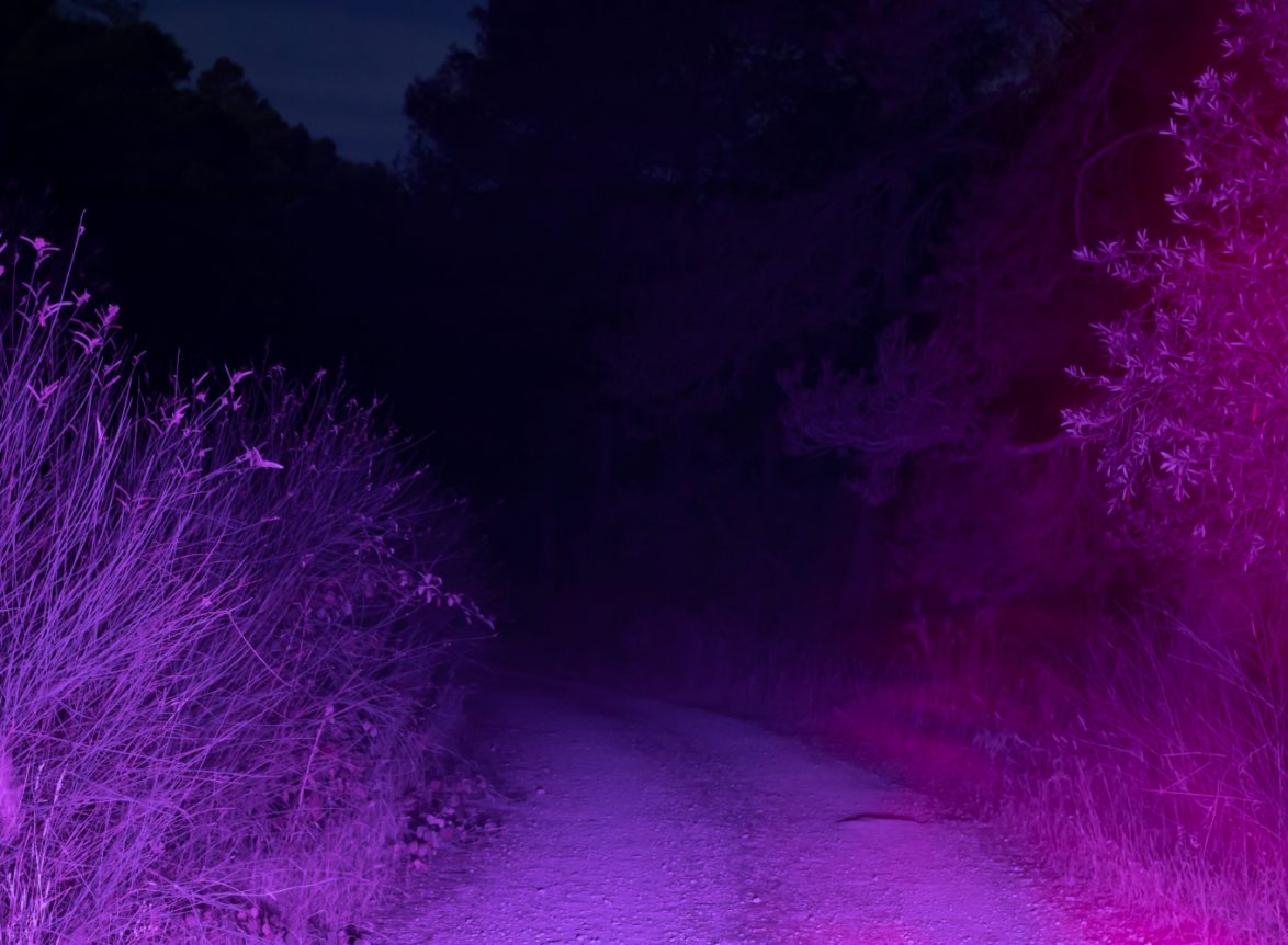 камери відеоспостереження